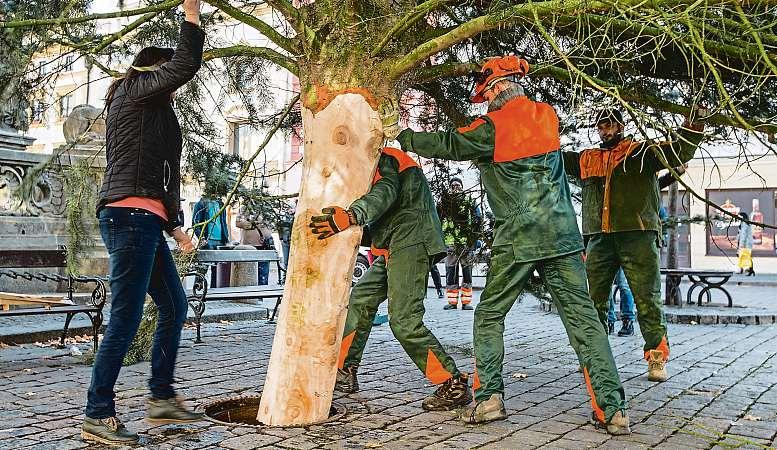 ČÍSLO 43, ROČNÍK VII 23. 11. 2018 Kateřina Winterová Jsem biomatka anestydím se za to str.8a9 Vánoce mohou začít. Strom už stojí Společná realitní a advokátní kancelář JURIS REAL,spol. s r.o. ihned vykoupí či zprostředkuje prodej rodinného domu,bytu, chaty,pozemku.