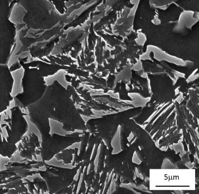 METALOGRAFICKÁ LABORATOŘ Laboratoř metalografie se zaměřuje na výzkum transformačních procesů a vývoje mikrostruktury při tepelném a tepelně-mechanickém zpracování a na