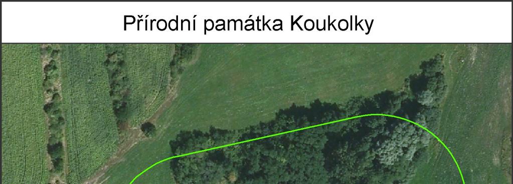 Příloha č.