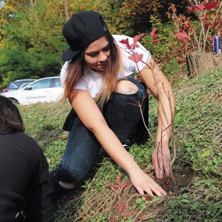 Do akce se lze zapojit registrací svého projektu na webových stránkách 72hodin.cz.
