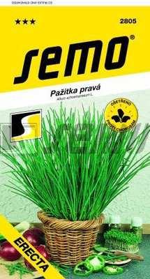 Objednací číslo:2805 Pažitka pravá ERECTA Raná, vysoce výnosná odrůda velmi vhodná pro pěstování ve květináčích. Listy jsou silnější, pevné, tmavězelené s příjemnou, mírně aromatickou chutí.