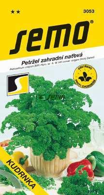 Má bohatě dělený, jemně zkadeřený list, zpočátku vzpřímený, ale záhy se rozkládající do stran.