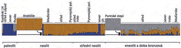 manica post datování 2016