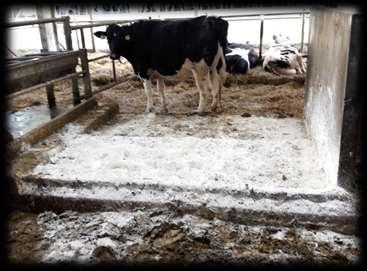 vaně, průchod brodidly s matracemi suchá koupel