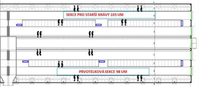 Boxová lože Rozdíl mezi prvotelkou (550 kg) a nejstarší a rámcově největší krávou (750 kg) 400 mm kratší délka těla, 250 mm nižší