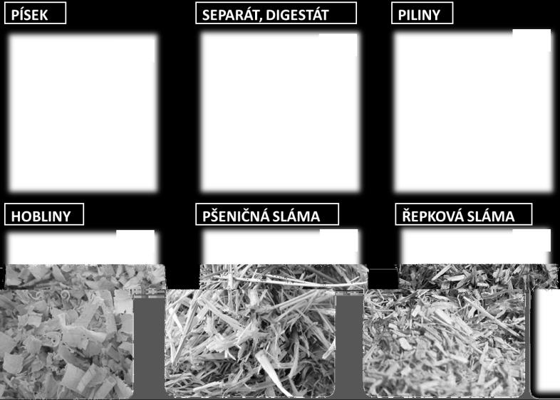absorpce