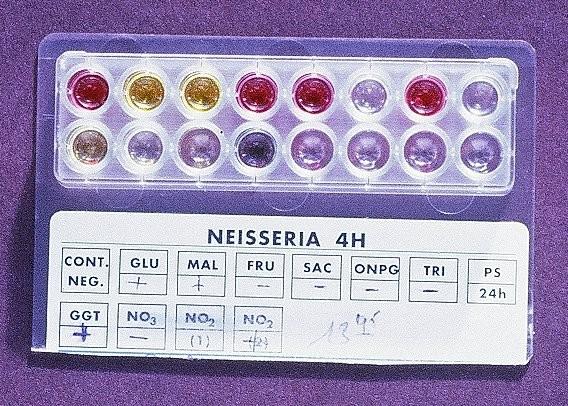 191