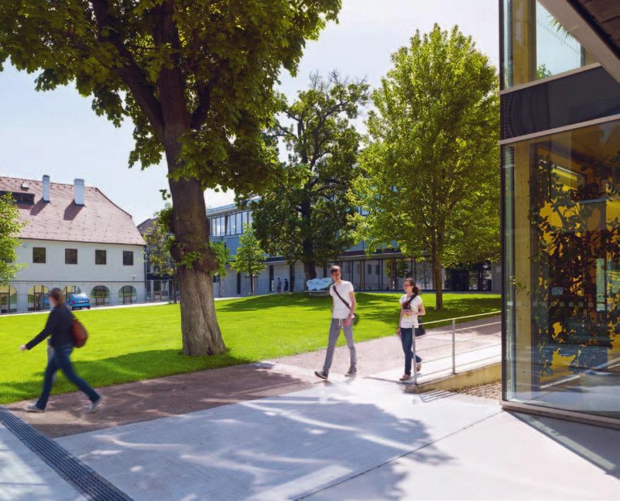02 02 Chci na bakaláře Informační technologie prezenční 3 roky zakončeno titulem Bc.