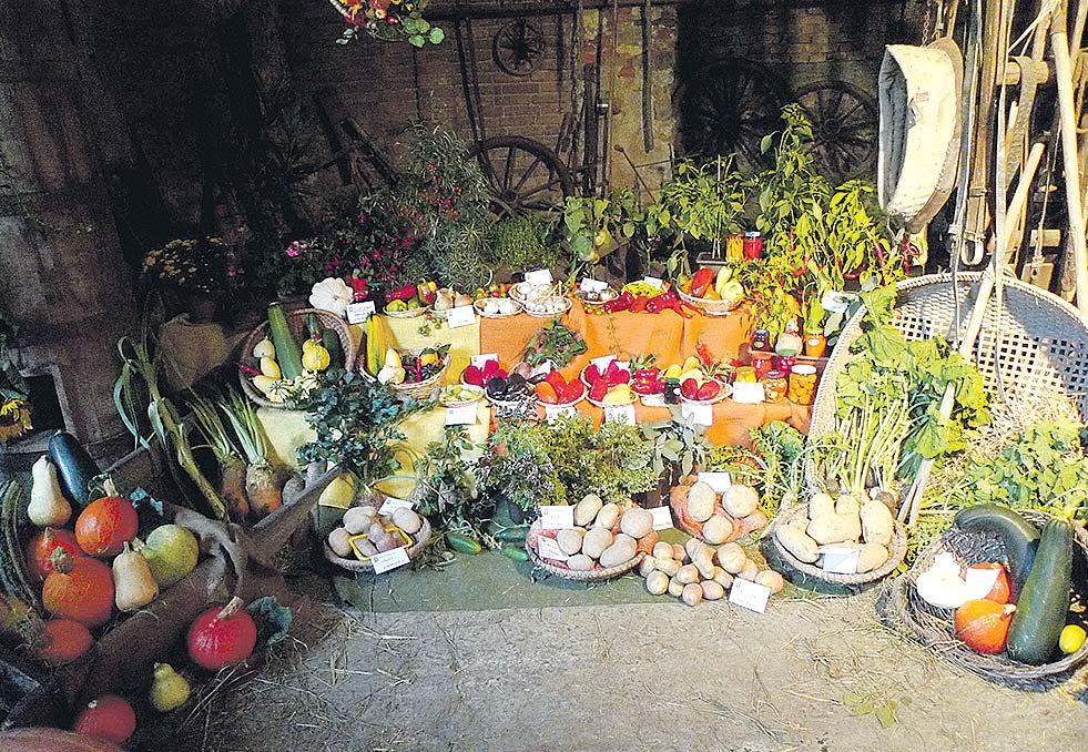 strana 10 Kdyňsko 6/2016 Co se děje v infocentru Jak funguje centrum společných služeb Kdyňska Centrum společných služeb Dobrovolného svazku obcí Kdyňsko uspořádalo v pořadí již druhé setkání
