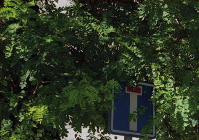 rozpočtu během svého působení v radě prosadila navýšení rozpočtu do školství i sociální