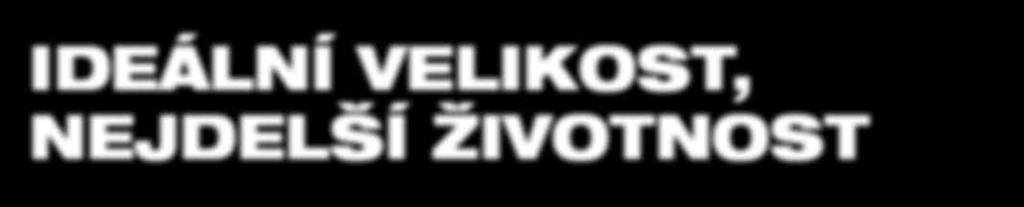 ! HADOVITÉ VRTÁKY IDEÁLNÍ PRO POKRÝVAČE! 561.98 Kč 680.00 Kč BITŮ SHOCKWAVE 24 KS OBJ. Č.