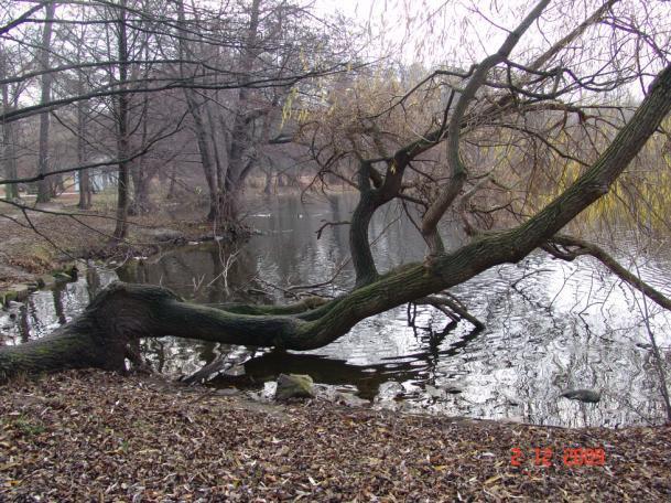 Vodní dílo Horní rybník (Zámecký