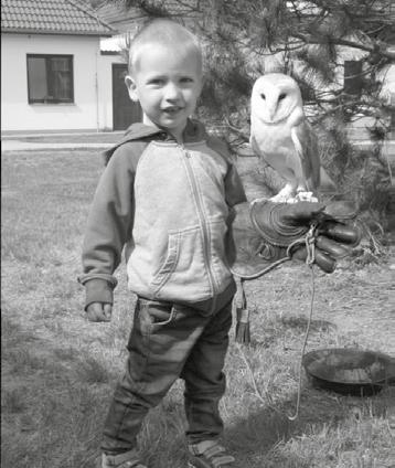 Pod vedením paní učitelek I. Kasalové a I.