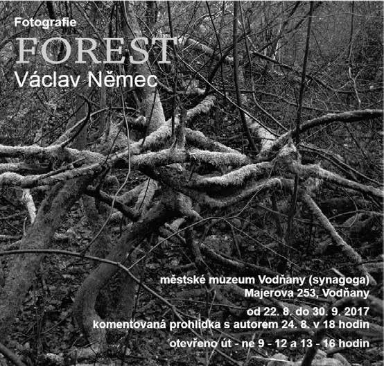 Jahodové radování Volala mi kamarádka. I v tomhle sluníčkovém červencovém počasí je naladěná na smutno, pláč má na krajíčku. Přítel odjel na dovolenou bez ní.