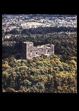 Založen r. 1356.
