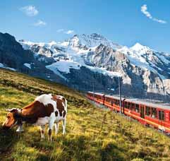 ŠVÝCARSKO J U N G F R A U J O C H BODAMSKÉ JEZERO A KRAJ HEIDI S KARTOU V CENĚ BREGENZ SÄNTIS APPENZELL VLÁČEK Z HEIDEN DO RORSCHACH STEIN AM RHEIN UNESCO MEERSBURG PIZOL HEIDILAND PFÄNDER LINDAU