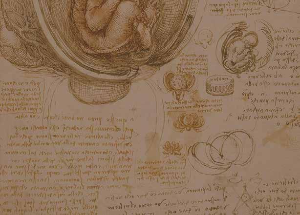 LEONARDO DA VINCI Walter
