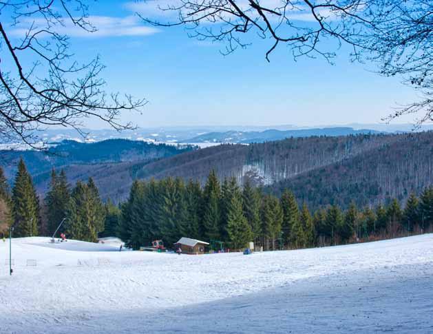 2 3 4 5 6 7 8 Blanka PROSINEC 49. týden 50.