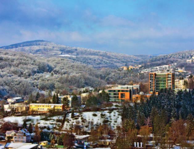 11 12 13 14 15 16 17 Božena Gizela 18 ÚNOR 7. týden 8.