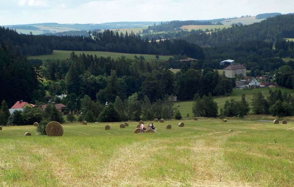 2019 www.tiskarnabrazda.