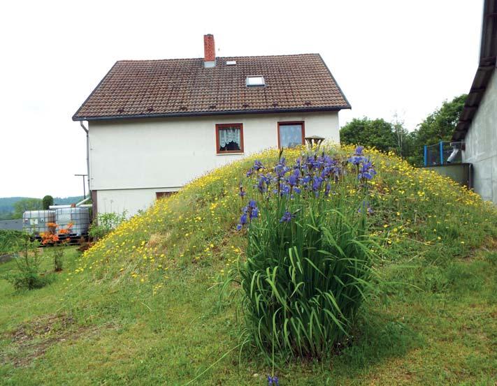 Červenec 15 16 17 18 19 20 Jindřich Luboš Martina Drahomíra,