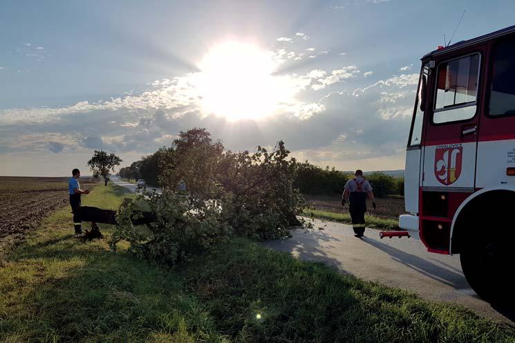 Zásah JSDH spadlý strom směr Šatov Listopad 45.