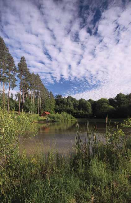 SRPEN - ZÁŘÍ 2010-35.