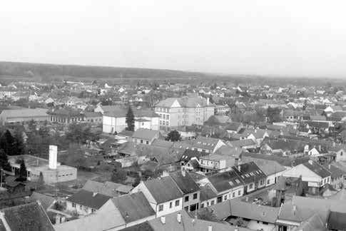 2 ZPRÁVY ZE SLOVÁCKÝCH MĚST Pondělí 8. února 216 Chřipka útočí STRANA 1 Následují děti od 6 do 14 let (2 776). Nejméně nemocných je ve věku 25 až 59 let (879).