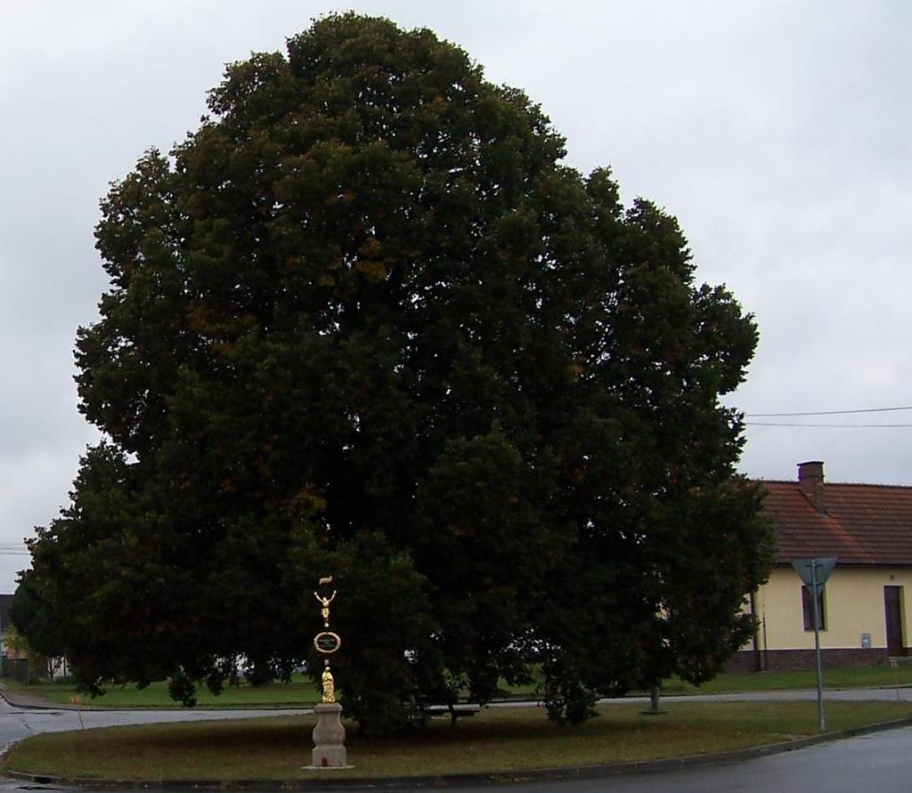 Obr. 10: Ilustrační foto litinový křížek s vzrostlým stromovým (příklad architektonicky významné stavby) 3.9.