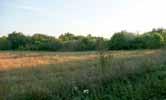 ID: 3833 Tel: 0911 251 042 99 /m 2 Pieštany - Sokovce Pekné stavebné pozemky pre dom Vašich snov v