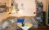 poschodie, výmera 42 m 2, kompletná rekonštrukcia. ID: 4428 Tel: 0901 74 21 21 52.500 Košice - Furča, Kpt.