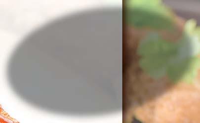 Hlad je nejlepší kuchař KURECÍ ˇ KRIDÉLKA ˇ