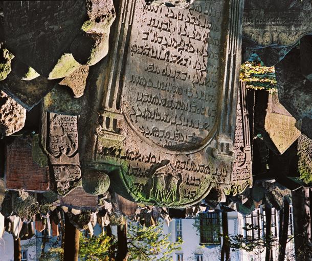 Údržba a rekonstrukce Provozní odbor zajišťoval odbornou správu a údržbu ve všech objektech a prostorách, které muzeum užívá ke své činnosti, včetně souvisejícího provozu technologických zařízení.