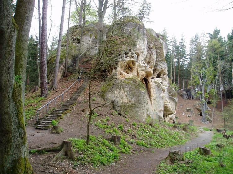 Pařezu.