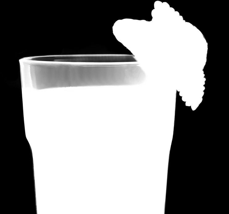 použijte Fortini