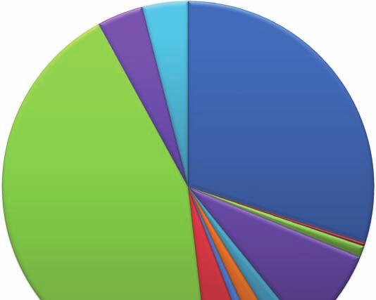 Finanční plán pro oblast sociálních služeb Graf 8: Přehled výnosů členěných dle zdrojů financování v roce 2014 Fondy zdravotních pojišťoven 4 % Ostatní zdroje 4 % MPSV 30 % Příjmy od uživatelů 44 %