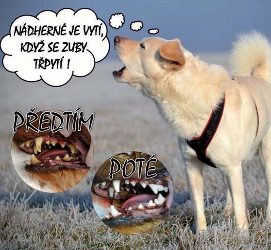 Kč, a to u běžných výdajů na výši 418 336,80 tis. Kč a u kapitálových výdajů na 309 129,70 tis. Kč. Plnění výdajů za první pololetí letošního roku je ve výši 203 150,08 tis. Kč, tj.
