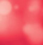 Z kanceláře Společnosti Parkinson, z. s. VALNá HROMADA Druhá valná hromada v roce 2017 se konala 25. listopadu v Rezidenci RoSa v Kobylisích.