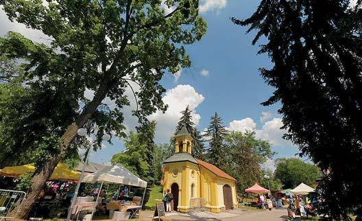 Čančíková, starostka FINANČNÍ ODDĚLENÍ V průběhu měsíce května byly v obci rozmístěny kontejnery na směsné sklo.