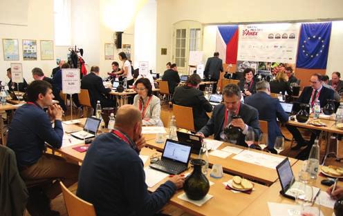 Společnost poskytuje tyto druhy obecně prospěšných služeb: a) podpora, propagace a rozvoj vinařství, vinohradnictví a související gastronomie, organizace kulturně-společenských akcí zaměřených na