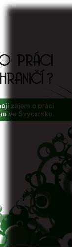 Informační karty pro uchazeče o zaměstnání (10 000 ks) podrobné informace k vybraným státům (Velká Británie, Nizozemsko, Německo, Rakousko, Itálie) leták Velká Británie (5 000 ks) práva a povinnosti