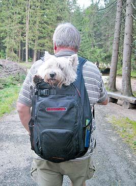Je to čumilství. Nemyslím to dnešní, kdy řidiči čučí při jízdě a natáčejí na mobil bouračku a sami pak nabourají. Mám na mysli čumilství fascinované prací.