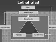 Závěr Polytrauma - poranění břicha - DCS - rychlá diagnostka - tming urgentního operačního výkonu - urgentní přerušení letální triády - fázové ošetření dutnových