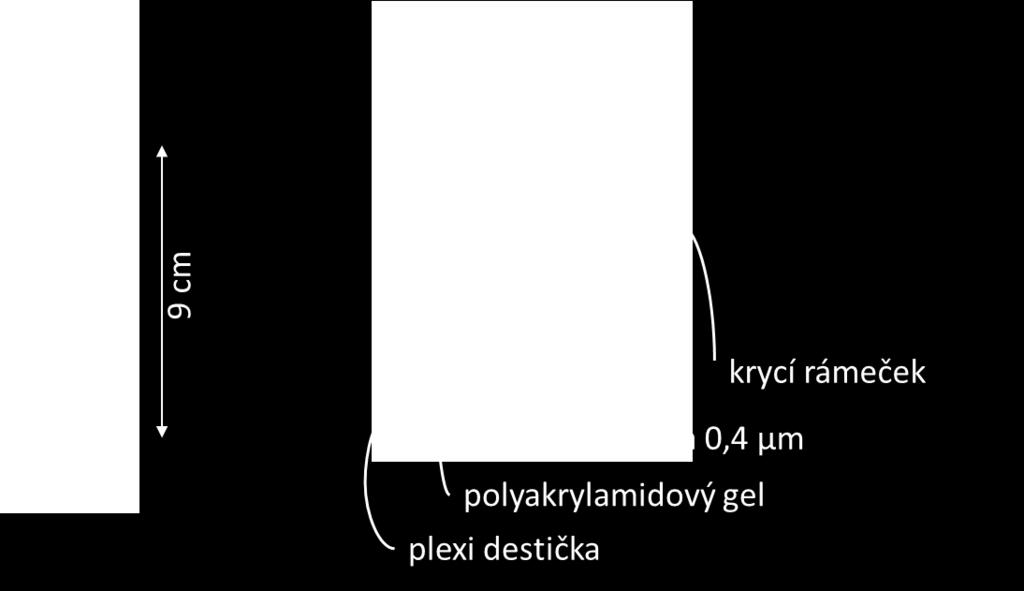 Tyto extrakty jsou dále analyzovány pro stanovení rozpuštěných iontů. Obrázek 1 Fotografie minipeeperu a schéma částí jeho sestavy 2.