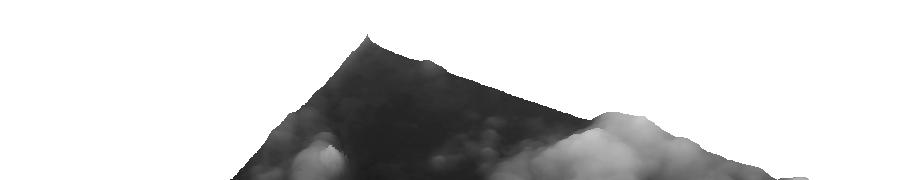 AFM