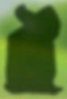 79,- 89,- 3 x 4 m 764073 159,- 179,- 4 x 5