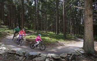 Floutrejl Rodinná terénní cyklotrasa 5 km dlouhá, lesem vedená bezpečná cyklotrasa, která je vhodná pro celou rodinu i s dětmi od 6 let.