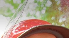 půjčovného. S kartou Lipno.card navíc získáte půjčovné o 15 % výhodněji.