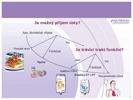 Příloha č.