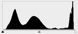 Histogram Živý,